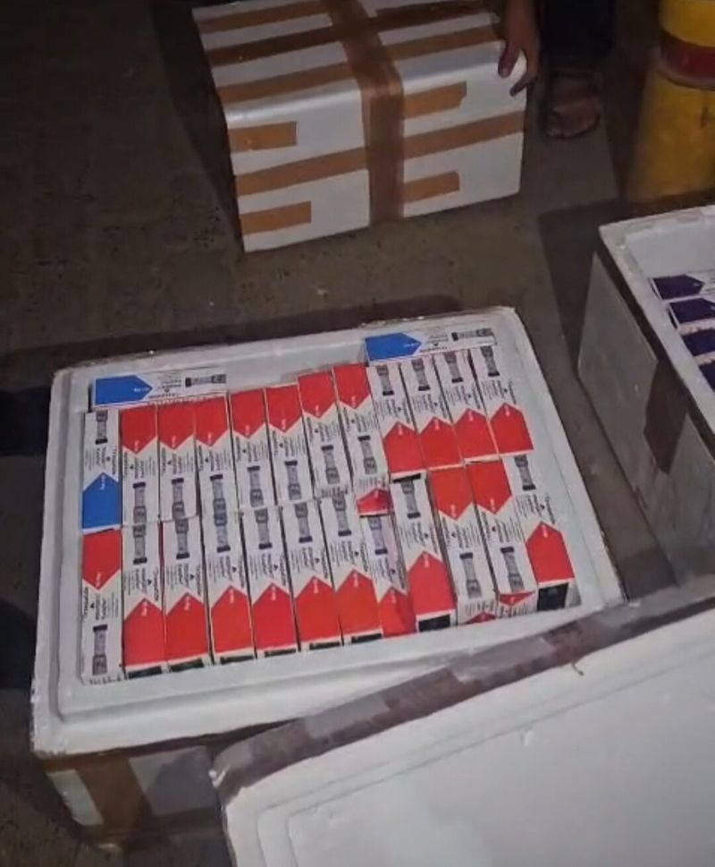 Gurugram drug bust: Rs 70 lakh-worth Mounjaro injections seized in DLF Phase-4, illegal supply chain under probe
