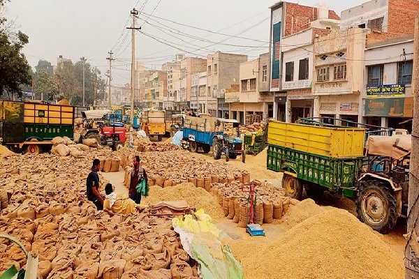 Haryana News: Thumb impression warning if Mandi rules are not changed